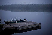 Foggy Morning